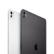 IPAD PRO 13" WI-FI + CELLULAR 2TB CON VETRO STANDARD NERO SIDERALE